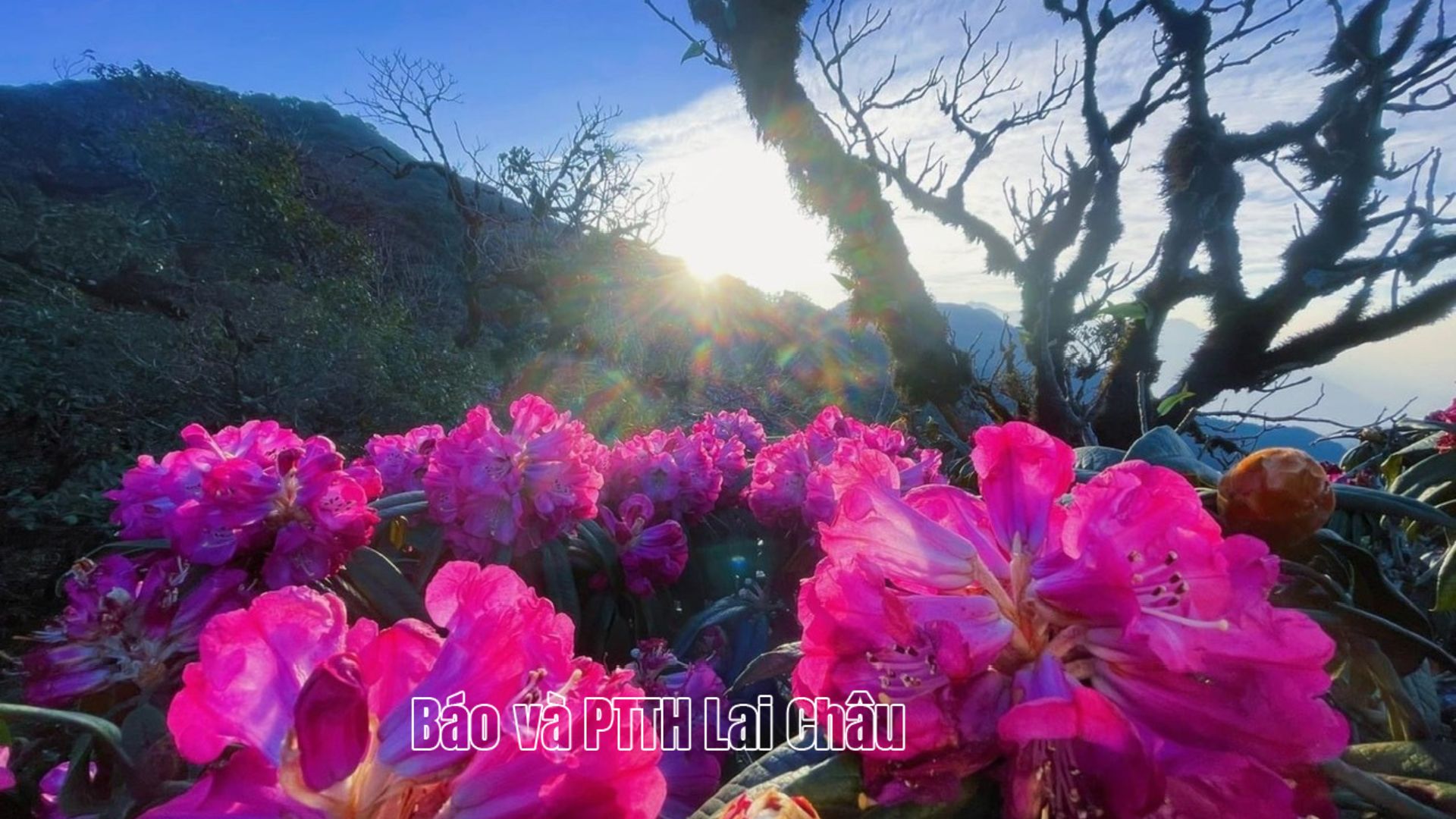 Kỳ 2: Kết nối điểm đến, hình thành hệ sinh thái bền vững